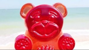 ЖЕЛЕЙНЫЙ МЕДВЕДЬ ВАЛЕРА УЕХАЛ НА МОРЕ