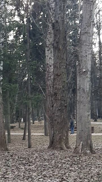 Белочка смотреть онлайн