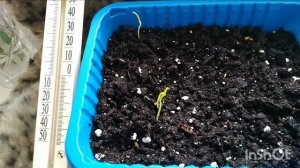 ВОТ ТАКОЕ НЕВЕЗЕНЬЕ😮💨😮💨😮💨😪😪😪