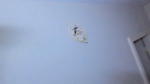 Мастер на все руки в США. Заказ подошел к концу(MySolve Mam_ya_v_Amerike)