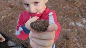 Канадская семья в НН.. 👉 Big Family Road Trip | Mississippi to Alabama’s Gulf State Park