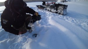 СНАСТИ НА РЕКЕ БЕЗ ПРИСМОТРА ДВЕ СУТОК, ЕДУ ПРОВЕРЯТЬ! НАШЁЛ НОВОЕ МЕСТО, СНУЛЫЙ НАЛИМ \РЫБАЛКА 2026