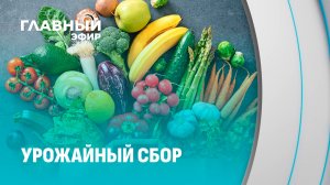 Продовольственная безопасность: спрос и предложение на рынке. Главный эфир