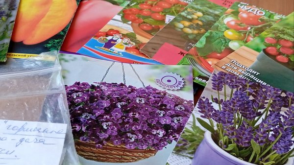 Результат первых посевов в сезоне 2026 г. Разбираем причины.