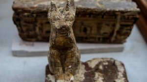 Похитителя 2600-летней деревянной кошки задержали в Австралии