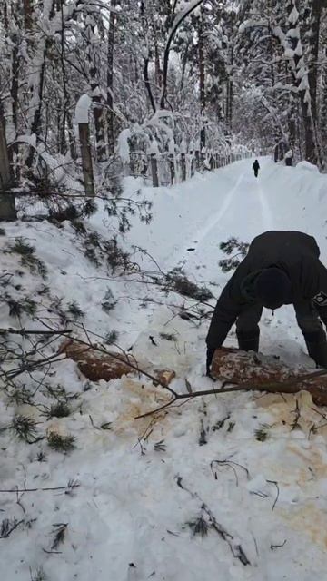 Как мы добирались на дальние вольеры журавлей смотреть онлайн