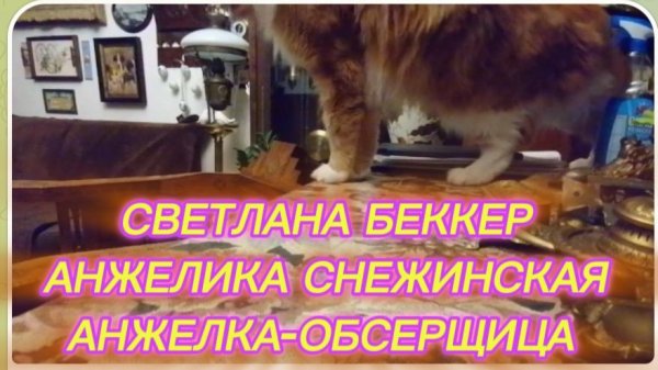 САМВЕЛ АДАМЯН, ОБЗОР ОТ СВЕТЛАНЫ БЕККЕР НА СНЕЖКО ГАДКО, АНЖЕЛКА-ОБСЕРЩИЦА..