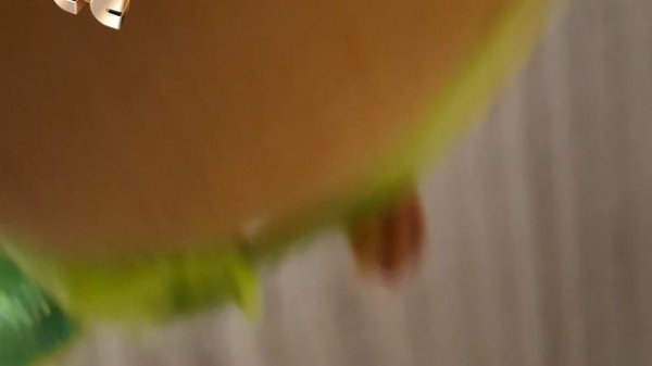 capibara_dead_2007_ctc