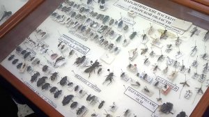 Фестиваль науки в Самаре