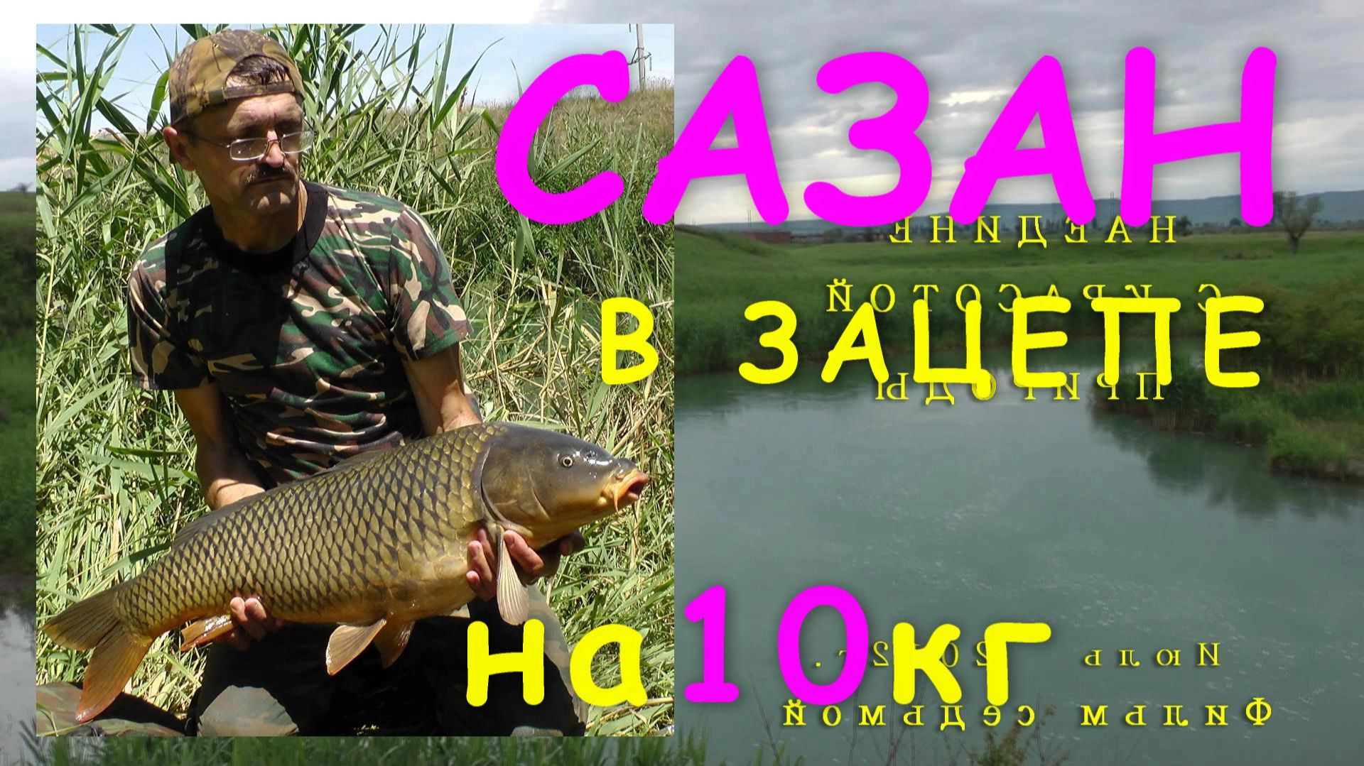 Ловля сазана. Моя рыбалка №7.Июнь 2012 г.