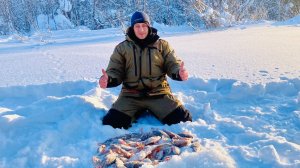 Столько окуня я еще не ловил! Зимняя рыбалка 2022.