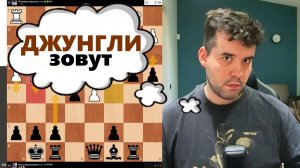 ДЖУНГЛИ зовут! МГ Ян Непомнящий 10.02.2026