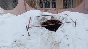 Ребенок провалился в канализационный люк в Саратове