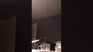 АЛЛАГЬ Велик ❤️