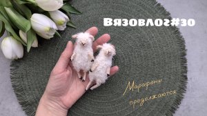 Вязовлог #30