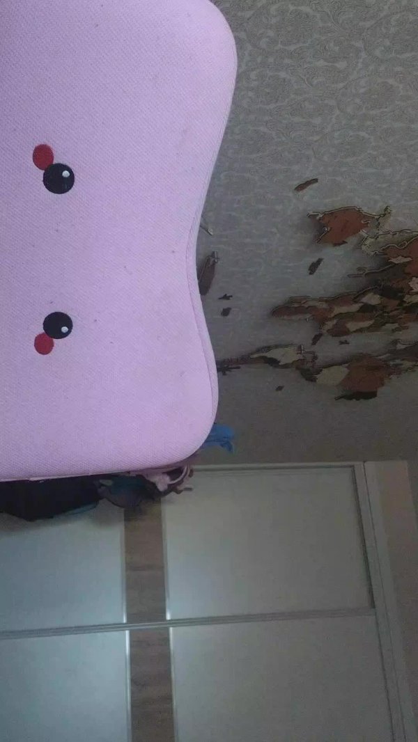 Пдб делаем странное на ошейнике