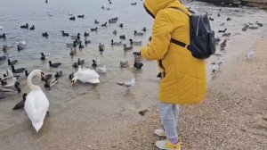 #197.Крым.Поездка в Феодосию,в Галерею Айвазовского.и прогулка по Набережной.