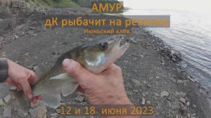 Летняя рыбалка на Амуре. дК рыбачит на резинку. 12 и 18 июня 2023.