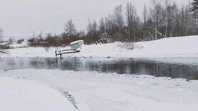 Река Уводь. ч.6. Февраль 2026 смотреть онлайн