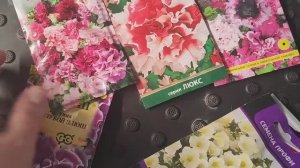 VLOG Кашпо сплела. Сломали руку😣. Посадила петунию.