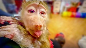 Пока мальчишки Степа, Бася и Тиша ВЫЯСНЯЮТ ОТНОШЕНИЯ, Маняша разговаривает)))