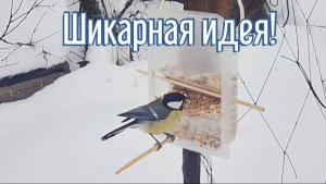 Почему я Раньше до этого не додумался, Как сделать Автокормушку за 4 минуты!