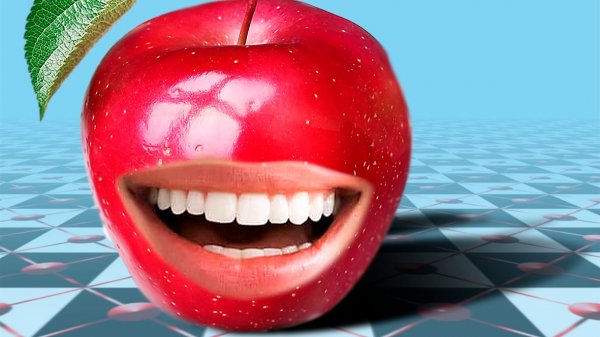 ФОТОШОП И ВИДЕОМОНТАЖ Adobe Premiere Pro