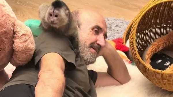 Папа Влад снова и снова пытается подружить малышей Финю и Николь❤️