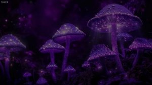 Грибная музыка для сна 💤 без рекламы