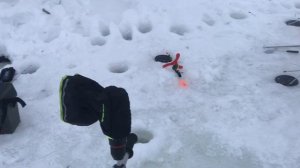 ещё одна форель на льду