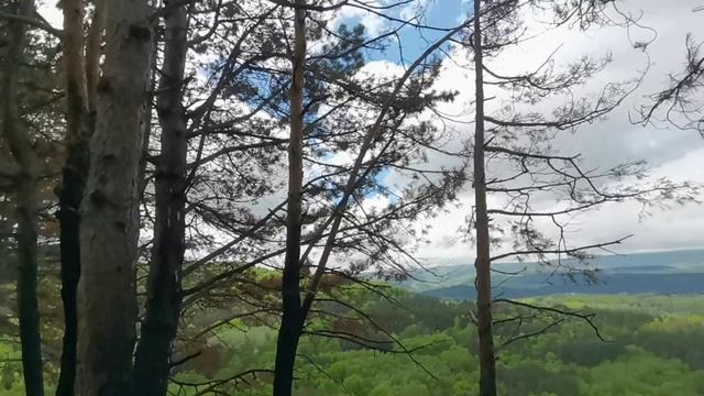 Кисловодск, тропа косыгина