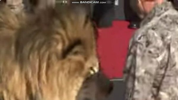 Leo the Lion helps MGM Studios celebrate its 90th birthday