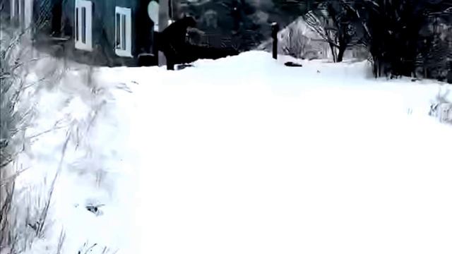 Футаж ПРИРОДА № 502 смотреть онлайн