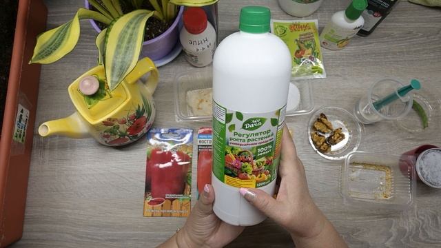 Важна ли предпосевная обработка семян, эксперимент с посевом перцев. Какие средства применила? смотреть онлайн