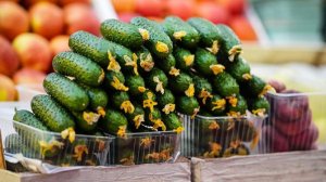 Агроэксперт объяснил подорожание огурцов сезонным фактором