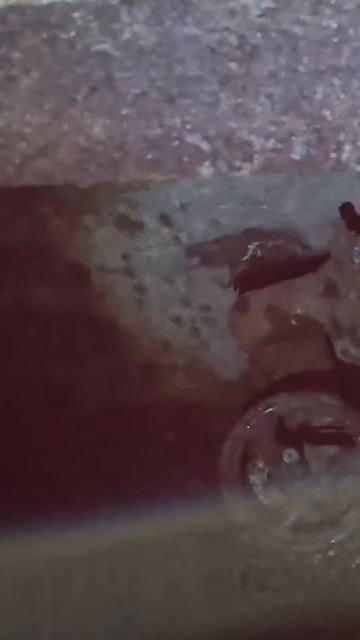 copy_F6472BED-768B-426A-BF1F-866E557F105D