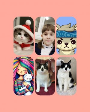 Играю в пещерах кротов