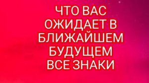 🎊СКОРПИОН🎊 ЧТО ОЖИДАЕТ В БЛИЖАЙШЕЕ БУДУЩЕЕ🎊 СМОТРИМ🎉🎉🎉