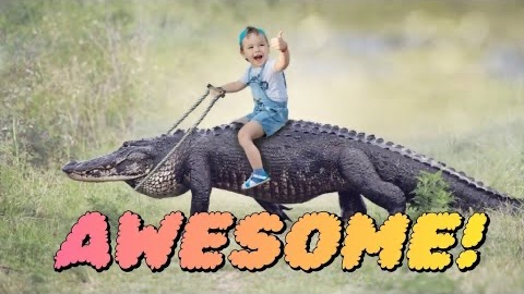 Канадская семья в НН.. WHAT? Riding Alligators?! USA Adventure смотреть онлайн