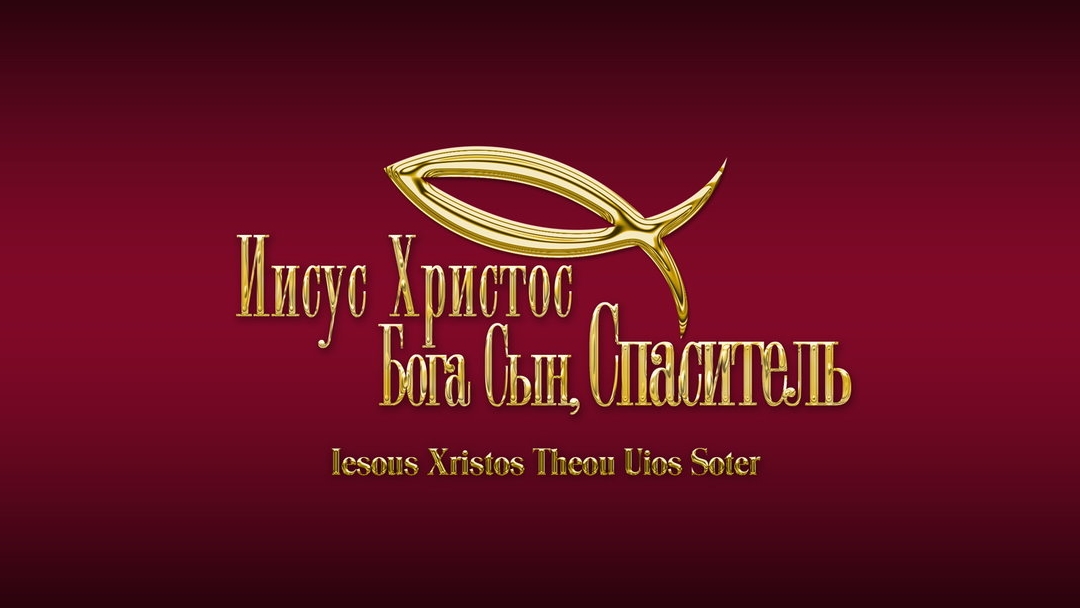 ЦЕРКОВЬ#ВОСКРЕСНОЕ БОГОСЛУЖЕНИЕ#15.02.26