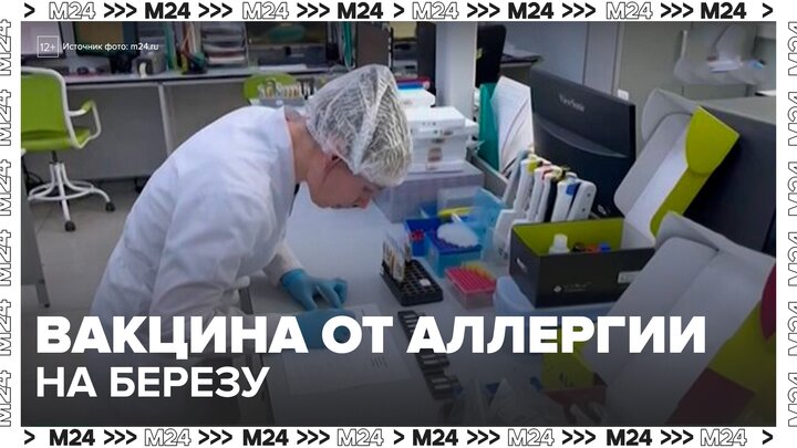 Отечественная вакцина от аллергии на березу вышла на финальную стадию регистрации - Москва 24 смотреть онлайн