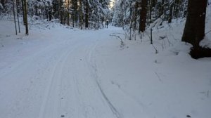 "Лыжная Стрела" в Токсово. Февраль 2026