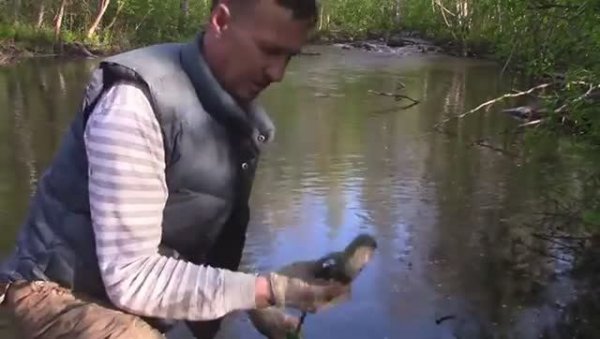 ПОИСКОВЫЙ МАГНИТ ТЯГОЙ 600-КГ, КИДАЮ НА СТАРИННОЙ МЕЛЬНИЦЕ 16-ВЕКА!