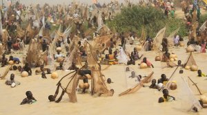 Сотни местных жителей приняли участие в массовой рыбалке в Нигерии