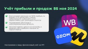 Учёт продаж и прибыли на Вайлдберриз для селлеров ВБ 28.11.2024