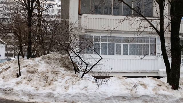 Перенос остановок общественного транспорта около площадки будущей станции Липецкая Бирюлëвской линии смотреть онлайн