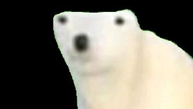 выживание с bear 2026 мем