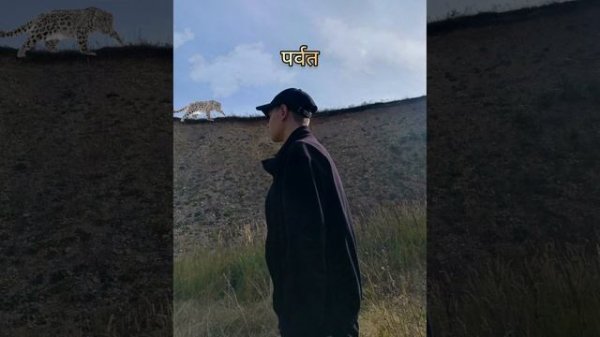 MAX BARS - Округ Ориндж, Тони Аллен, bizarrap, Кара Джексон, анушка шанкар (BZRP Radio Mix)