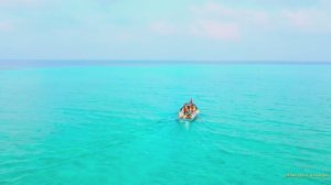 Коран сура Ат-Товба видео 4к Миншави -Minshawiy