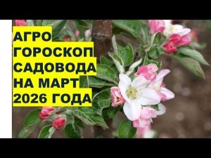 Март 2026: Когда и Какие Работы Провести в Саду?!